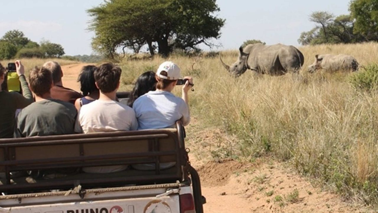 Students on a safari trip viewing Rhinos in Africa
