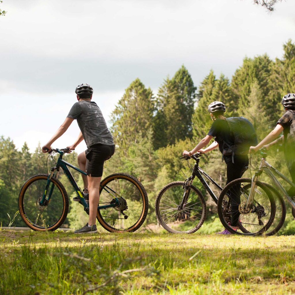 Students on mountain bikes pause to admire the green scenery.