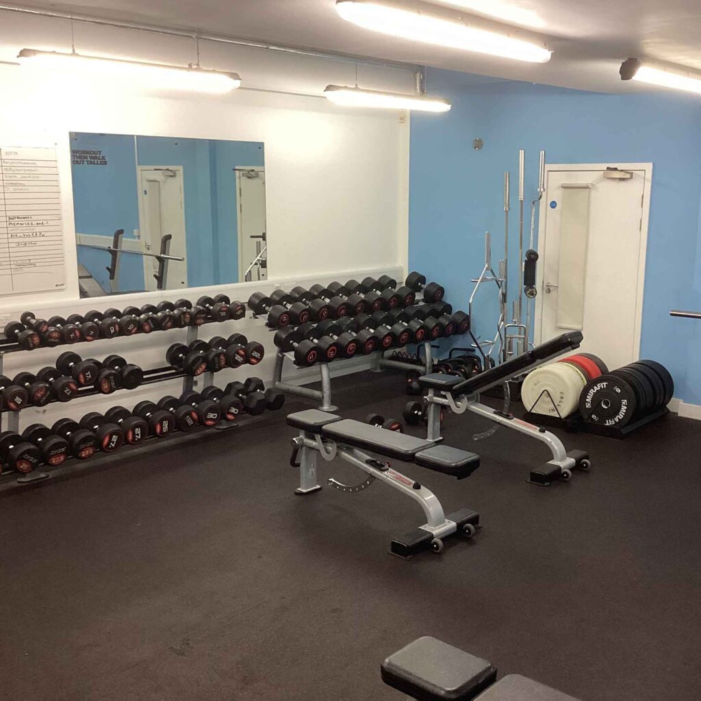 Fitness suite with benches and weights